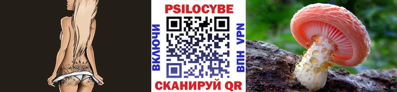 Псилоцибиновые грибы мицелий  купить закладку  Собинка 